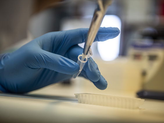 Ontwikkelen en testen van coronavaccins gaat in enorm tempo