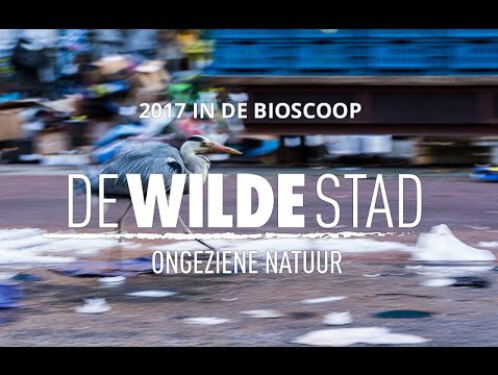 De stadsdieren van 'De Wilde Stad'