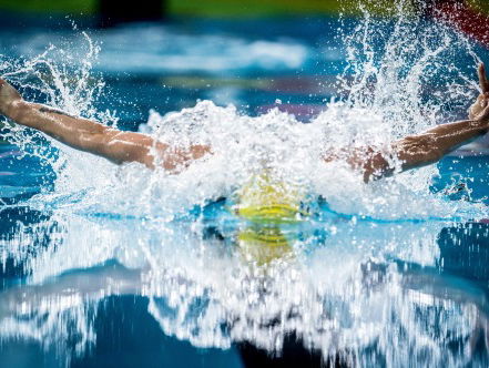 Swedish Superfish Sjöström