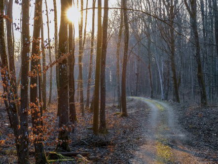 Het broedseizoen begint: op pad met Boswachter Tim