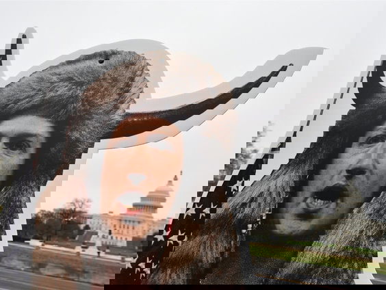 Big tech bedreigt onze democratische rechtsstaat