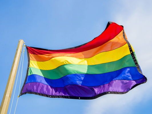 Ik zou mijn kind van school halen als homoseksualiteit wordt afgekeurd