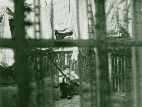 Paul McCartney komt vrijdag met 'lockdown album'