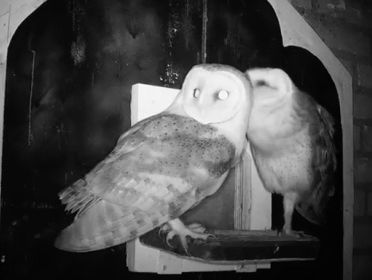 Beleef de Lente - samenvatting 2017