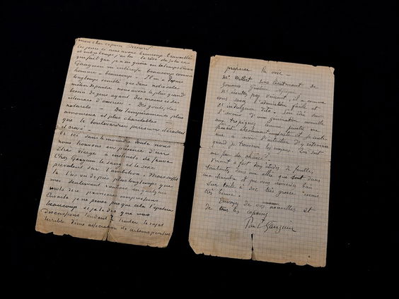 Nienke Bakker over de brieven van Vincent van Gogh