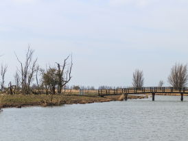 Het Spoor Terug: 40 jaar Oostvaardersplassen