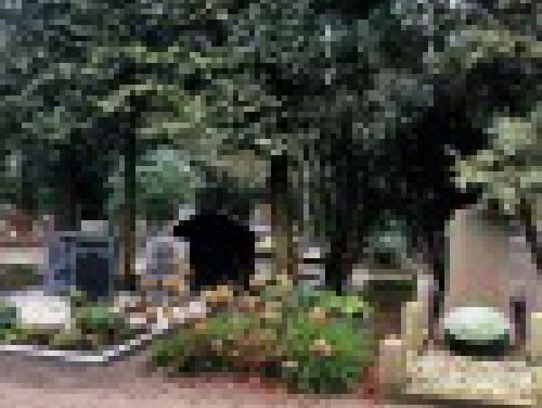 In Memoriam Vijftien kinderen opvoeden