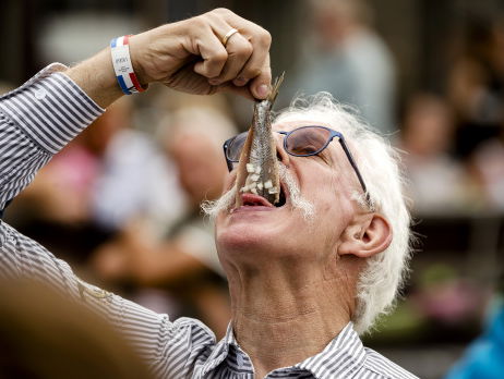 We zouden meer liefde moeten koesteren voor de Nieuwe Haring