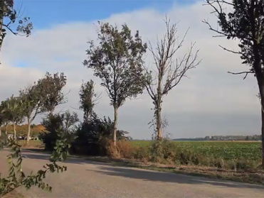 Kaalslag onder essen