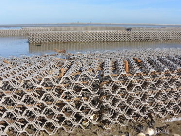 'Kontje' voor mosselbank