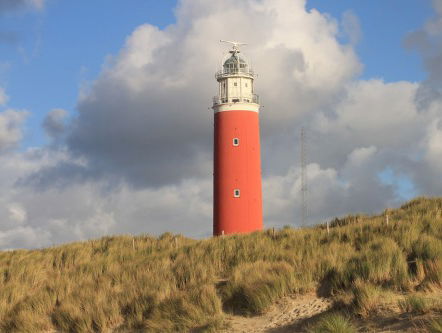 Wat gebeurt er in de Texelse natuur?