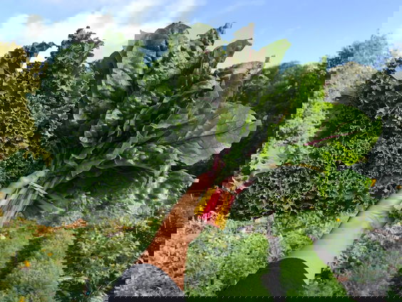 Bodemzicht: Regeneratieve boerderij