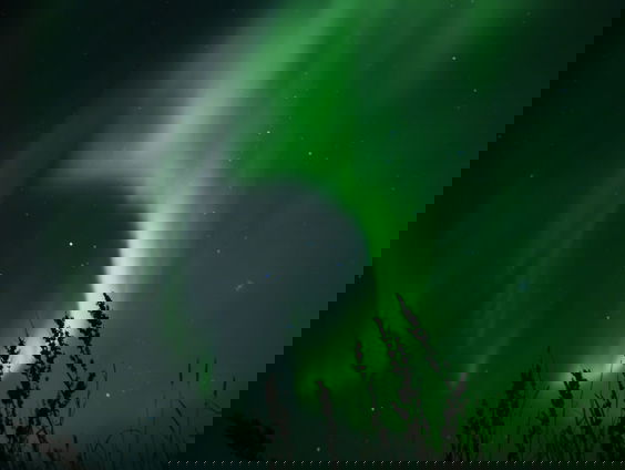 Cabaretier Michael van Peel reisde met zijn Vespa naar de Noordkaap