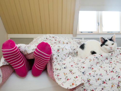 Depressiegala op Blue Monday