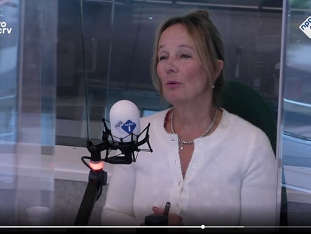 De Taalschat: Uit talloos veel miljoenen (100 jaar W.F. Hermans)