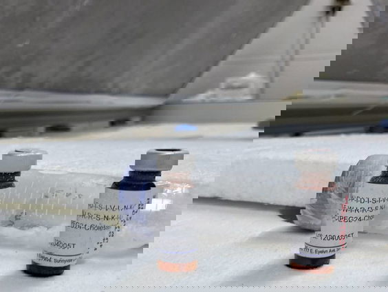 Het werkt al bij fretten, maar kan neusspray ons beschermen tegen corona?