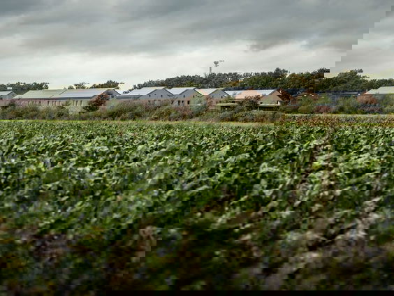'Geef duurzaam ondernemende boeren toekomstperspectief'