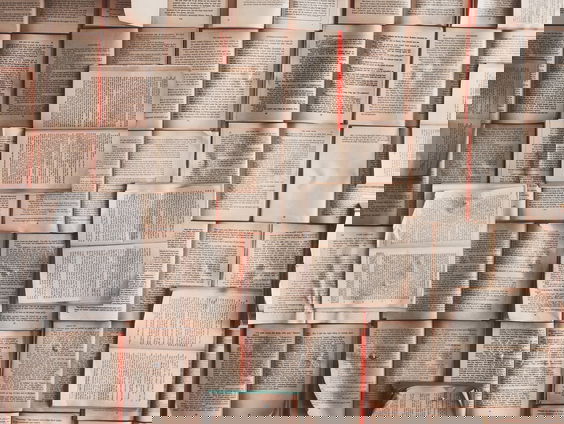 Het Voorwoord van de Boekenweek: "Lezen prikkelt je verbeelding"