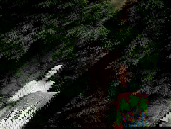 Zijn spijtbetuigingen van overheden in de mode?