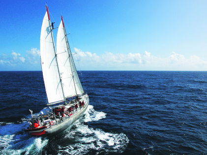 Cultuur: Bambie is Back? (mime)