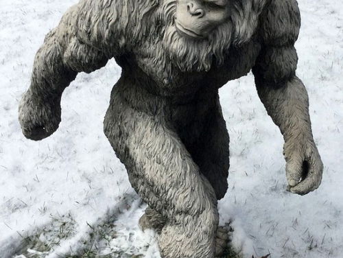 Jet Bakels over monsterdieren.