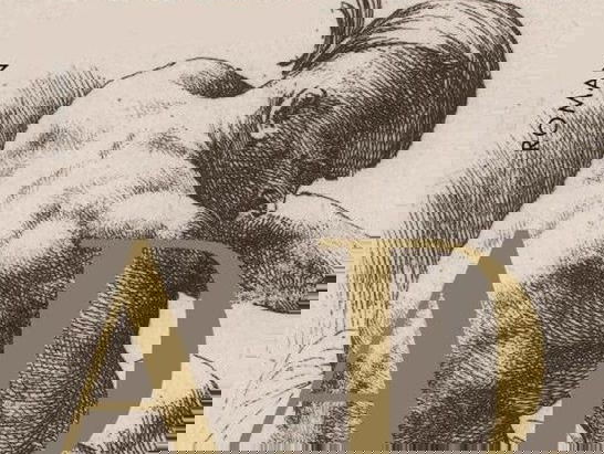 Gustaaf Peek over nieuwe historische roman 'A.D.'