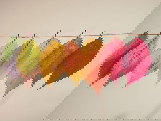 Herfst en Nieuwegein: zijn de inwoners echt zo somber?