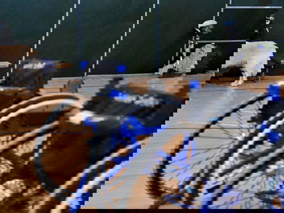 De Invictus Games starten volgende week: ‘Hopelijk met Oekraïense delegatie’