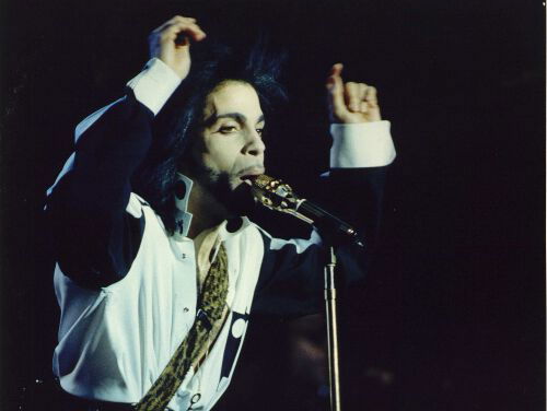 ANNO: geboortedag Prince - Edgar Kruize, schrijver 'Prince: The Dutch Experience'