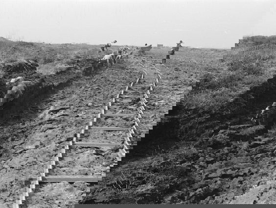 1e uur: vluchtelingencrisis in Ter Apel, de hel van Jipsinghuizen, Bart Funnekotter recenseert 'Erasmus', ...