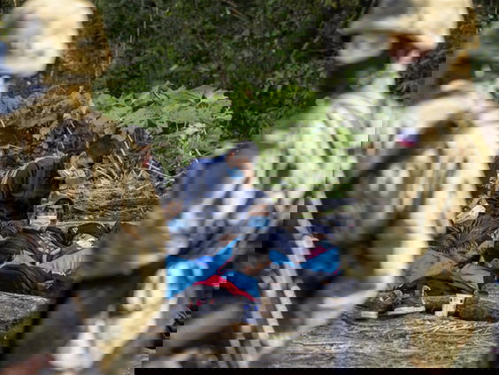 Vast in niemandsland