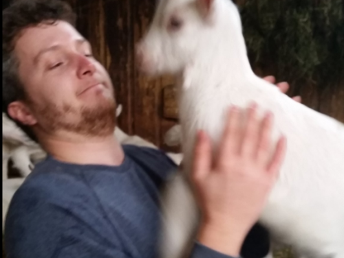 Reinout Meijer zoekt rust in geitenyoga