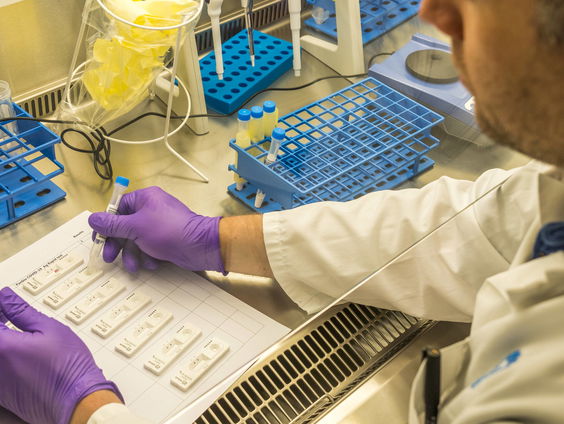 Eerste corona-sneltesten goedgekeurd, 'gaat testaanpak rigoureus veranderen'