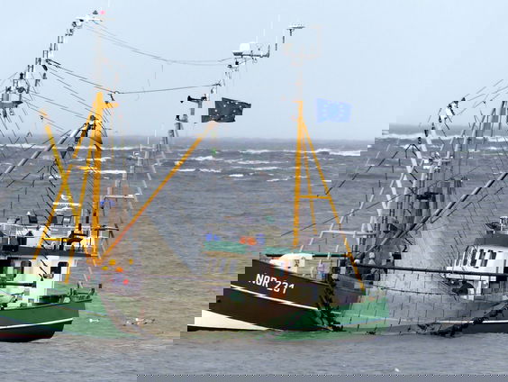 Vechten om vis: waarom visserij zo'n heet hangijzer is bij Brexit-onderhandelingen