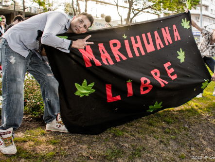 Hoe groeit de wiet in Uruguay