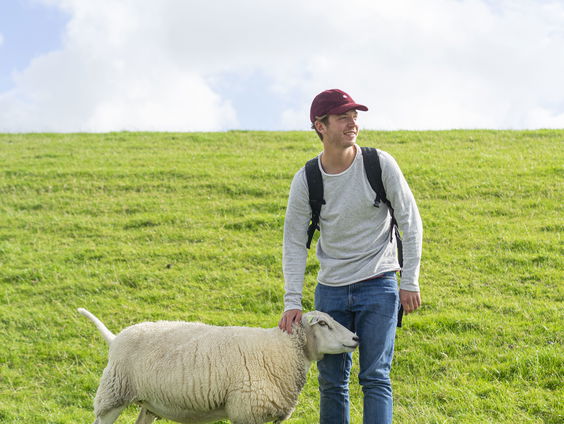 Column Jan van Poppel