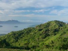 Investeren in een tropisch regenwoud op de Filipijnen