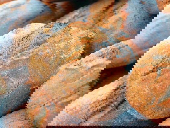 'Je zou er bijna emotioneel van worden': brood bakken met een zelfgemaakte gistvervanger