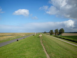 Voorland Groningen deel 4: Eemshaven