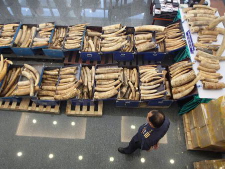 Olifantocide in Oost-Afrika