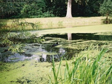 Kleine wateren van slechte kwaliteit