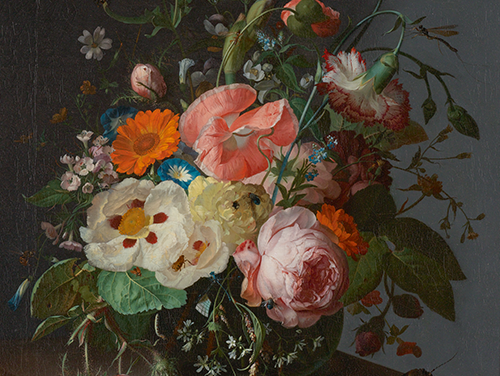 Boekenrubriek met Lidewijde Paris