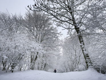 Hoe gaat Finland om met de toenemende spanningen tussen het westen en Rusland?