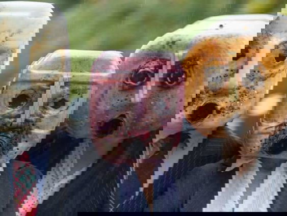 Kabinetsmaatregel duwt stikstofuitstoot verder op