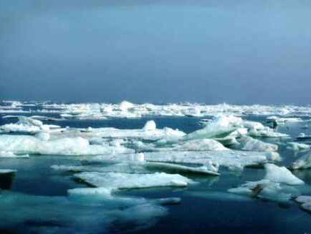 5 Vragen: minder Noordpoolijs dan ooit