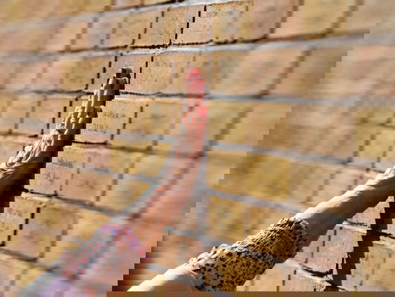 Monument voor familie Drenth uit Stadskanaal die onderduikers hielp tijdens Tweede Wereldoorlog