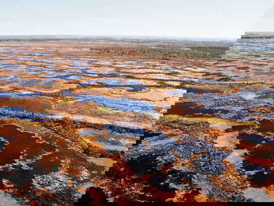 Hittegolf in Siberië: gaan we een sabeltandtijger vinden?