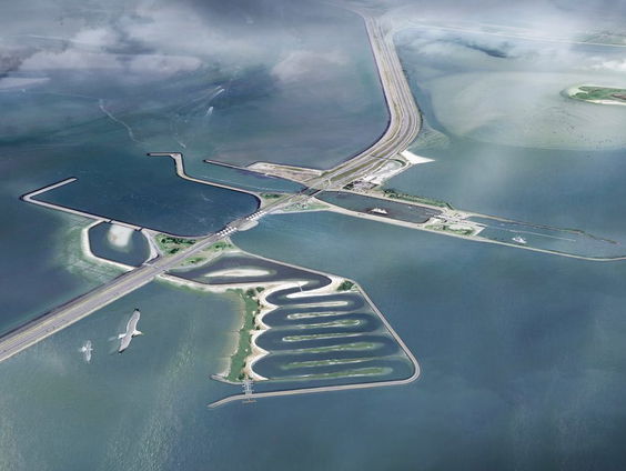 Vissen blij met gat in de Afsluitdijk