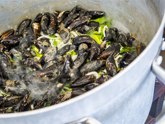Verhalen van Spraakmakers: Korte keten; Neeltje Jans en de echte Zeeuwse mossel - deel 1