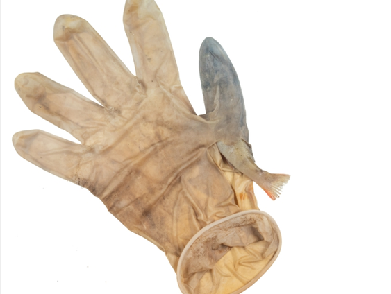 Dierlijke slachtoffers over de hele wereld door corona-afval